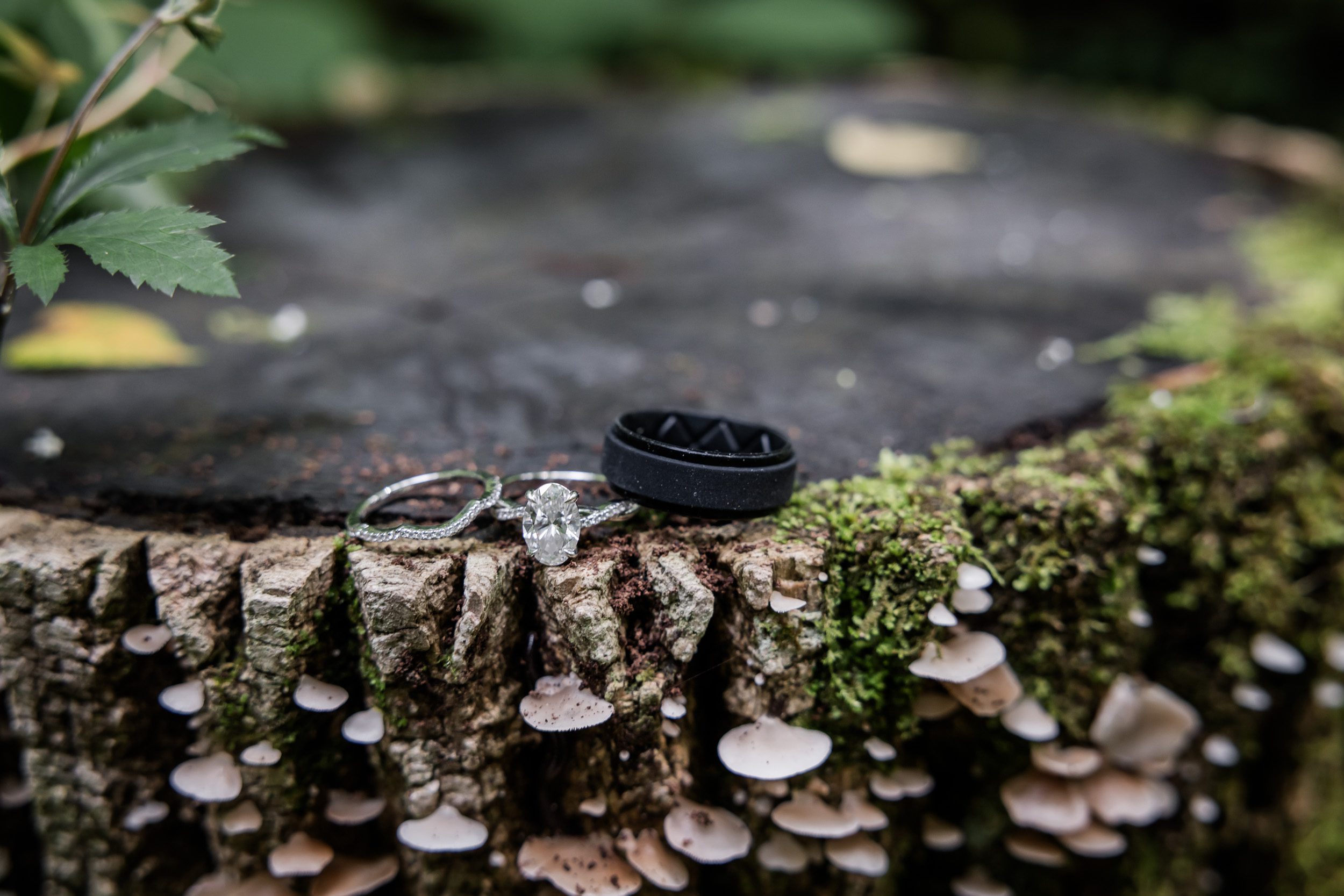 Wedding Rings 