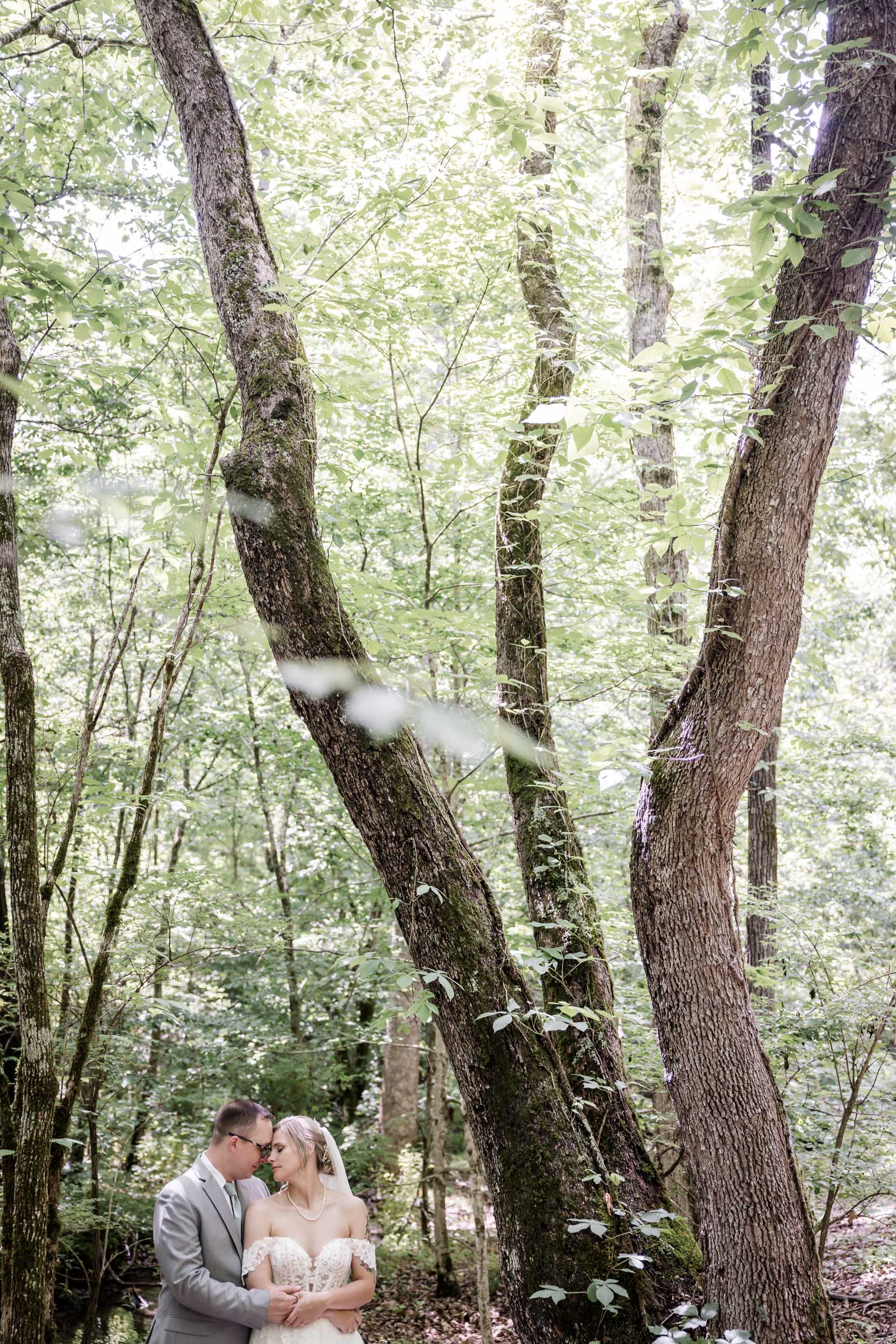 Spring Afternoon Elopement 