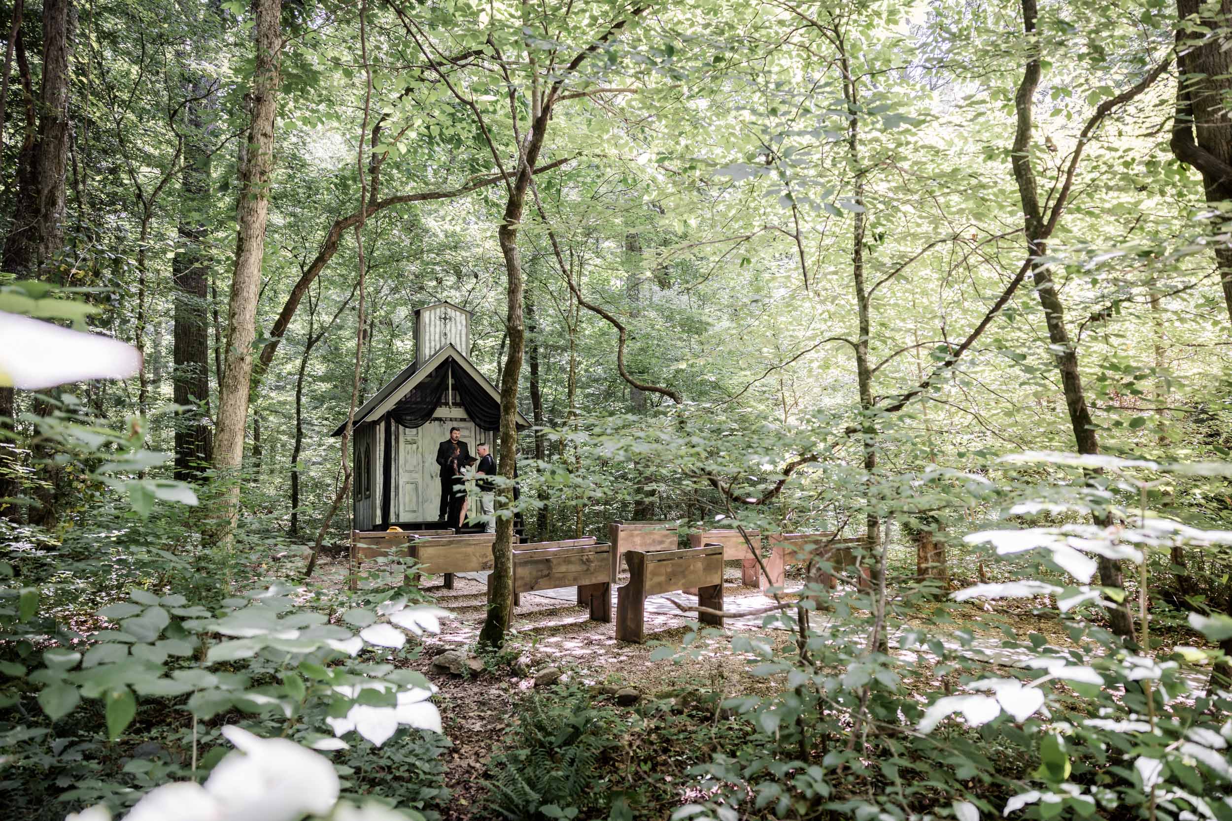 Dark Forest Elopement 