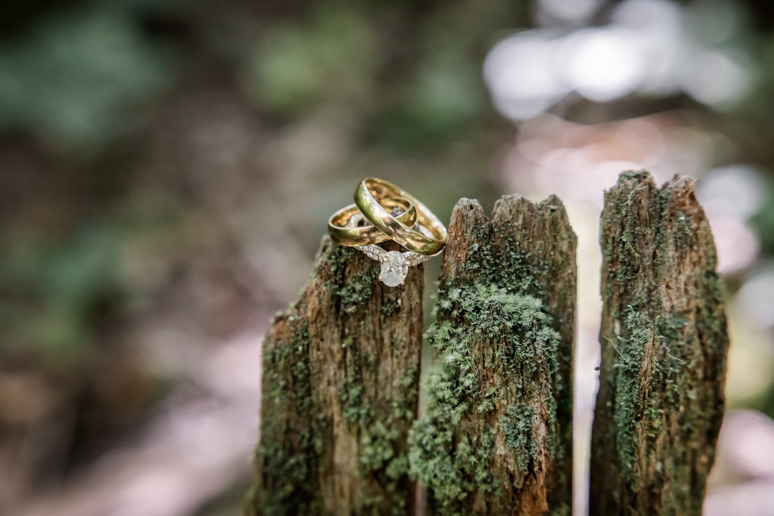 Gold Wedding Rings 