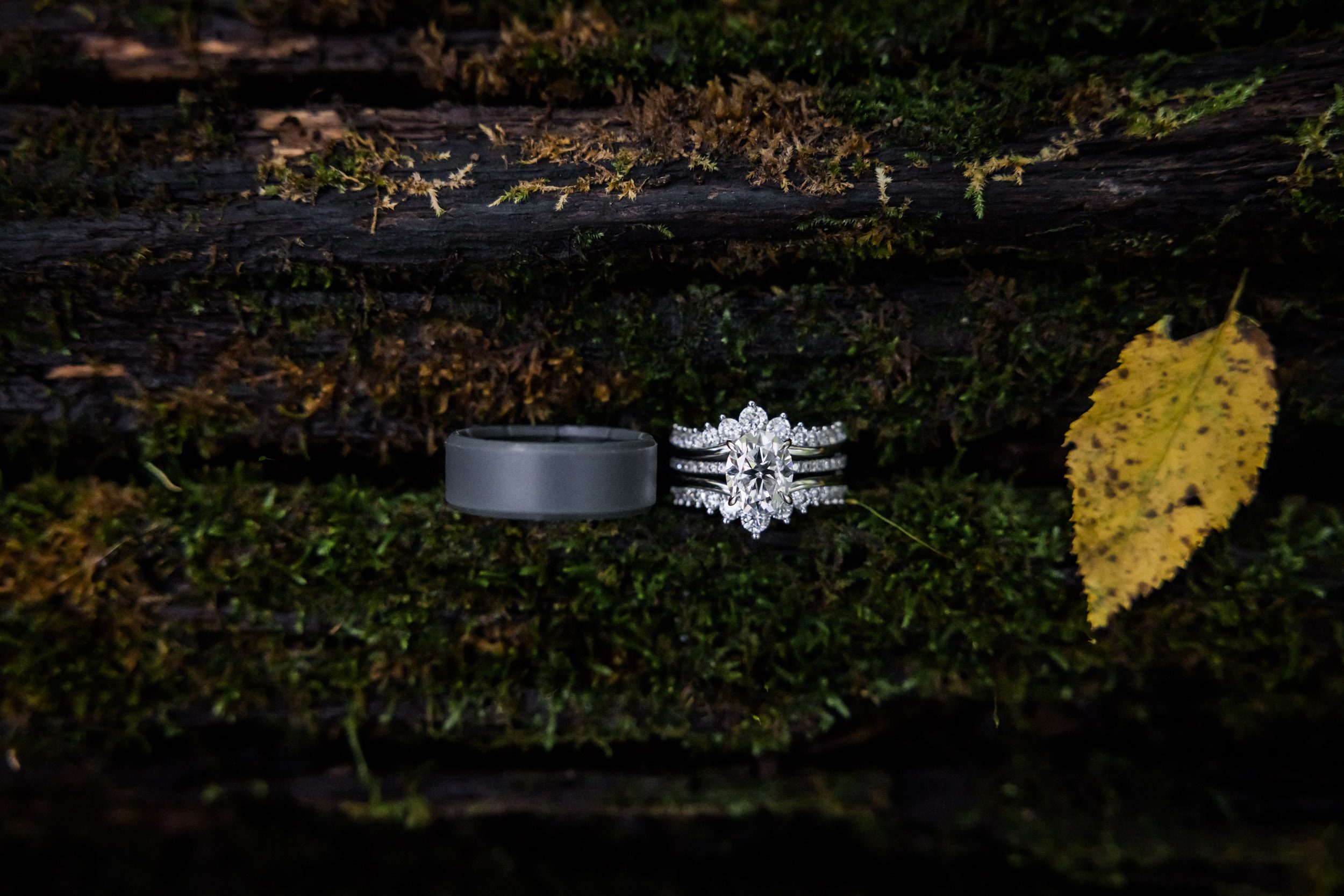 Wedding Rings 
