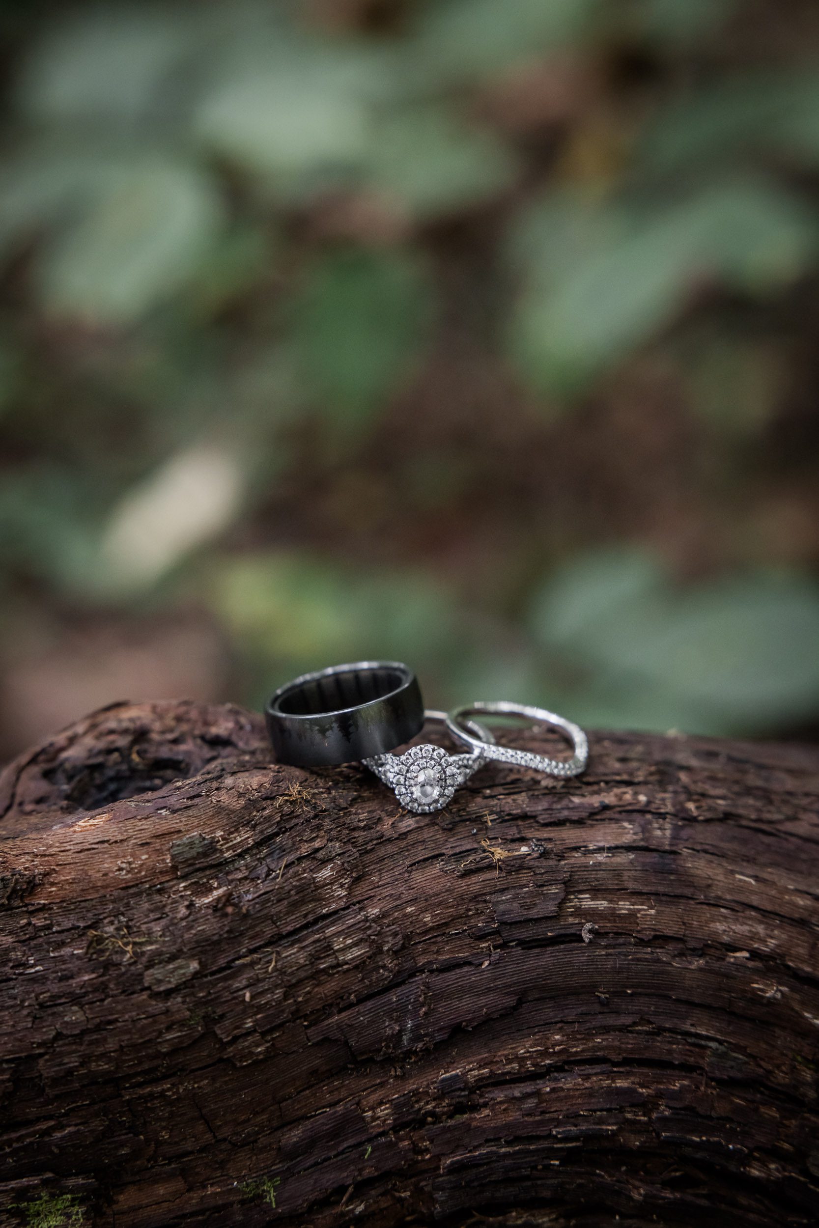 Wedding Rings 