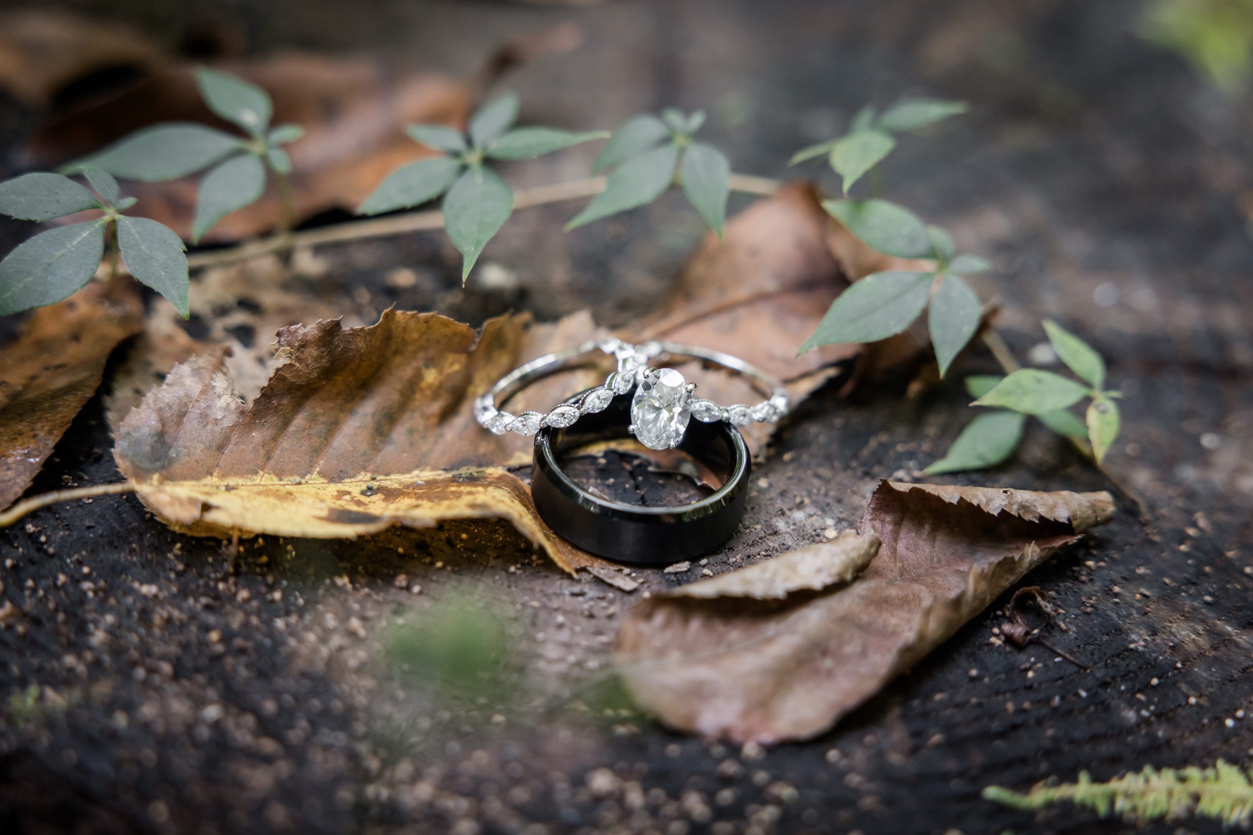 Wedding Rings