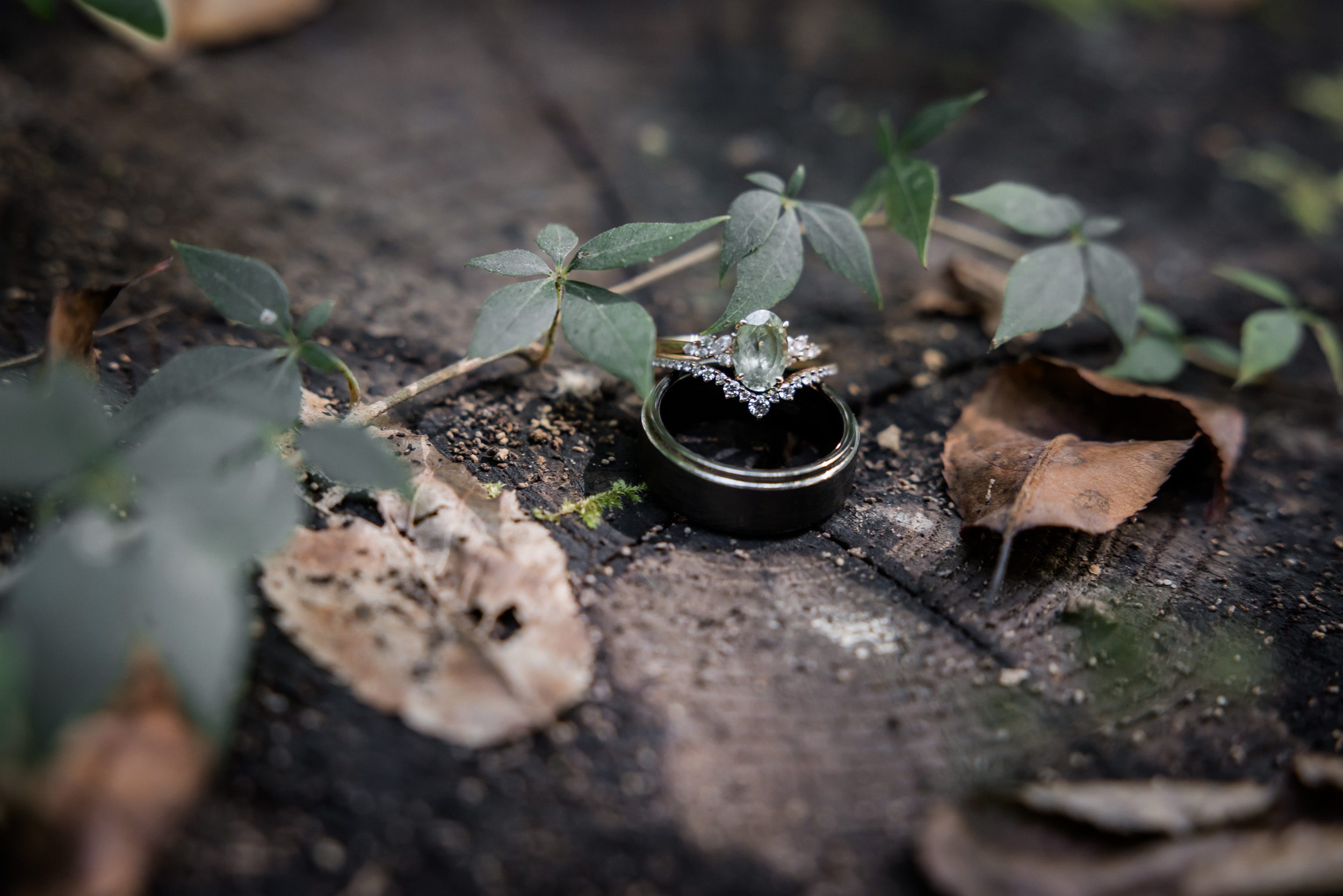 Wedding Rings